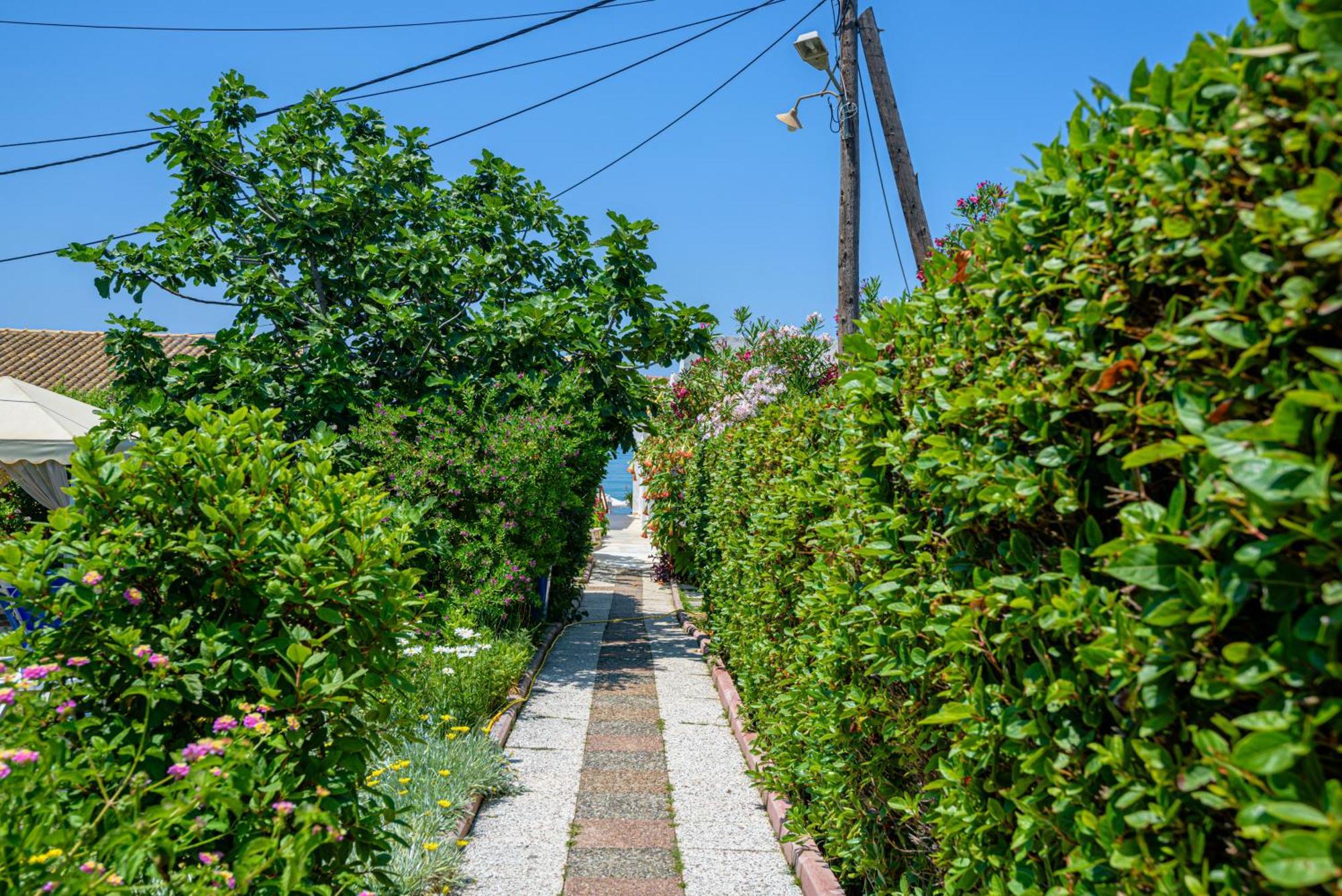 Elena'S Seaside Apartments & Studios Agios Gordios  Exteriér fotografie