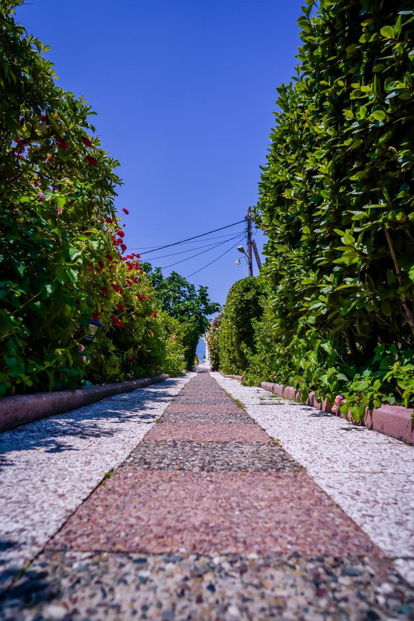 Elena'S Seaside Apartments & Studios Agios Gordios  Exteriér fotografie